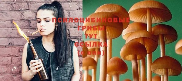 гашик Абаза
