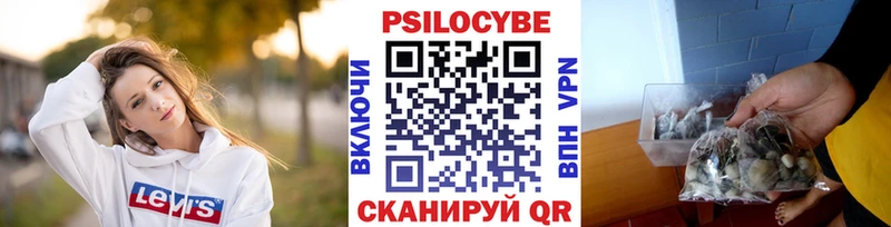 купить   Данилов  Галлюциногенные грибы Psilocybe 